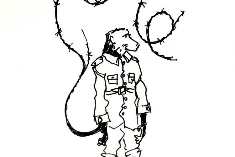 jackie the baboon