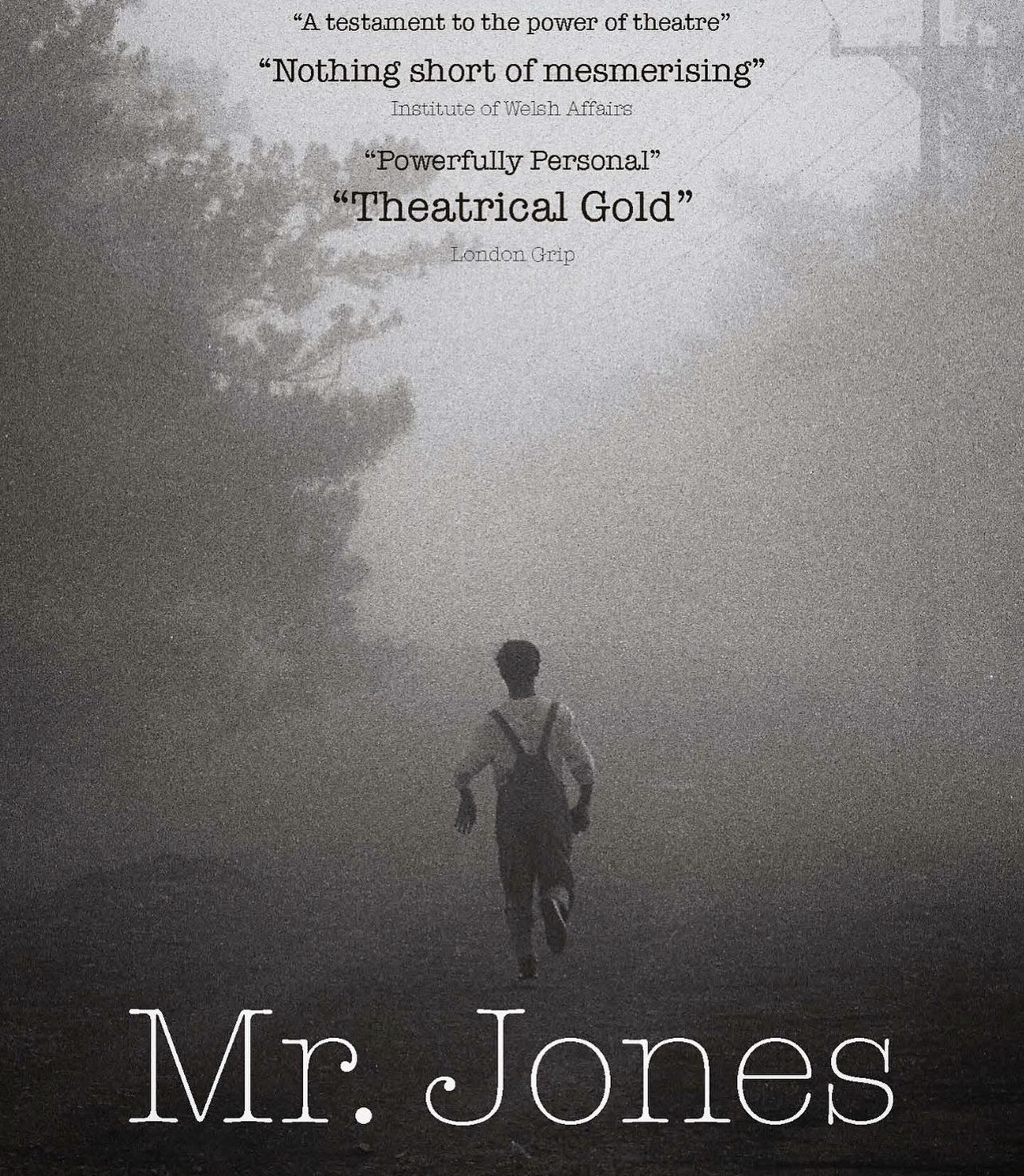 Mr Jones poster