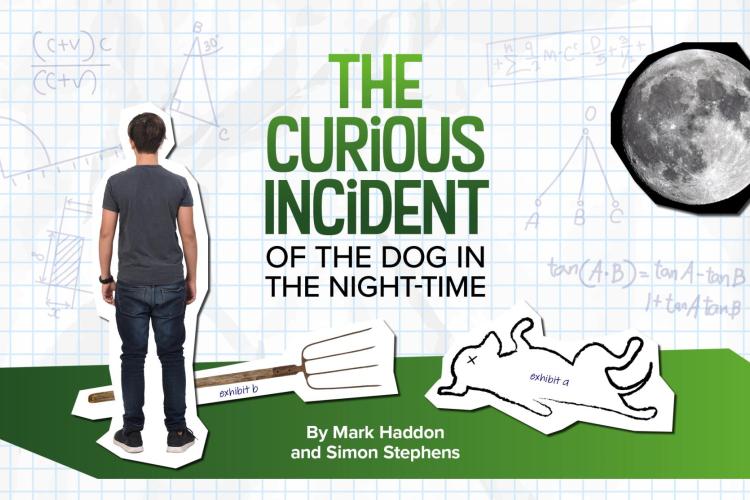 The Curious Incident of the Dog in the Night-Time