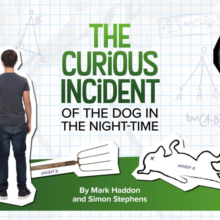 The Curious Incident of the Dog in the Night-Time